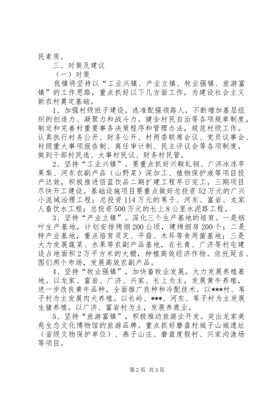 新农村座谈会上的发言材料致辞_第2页