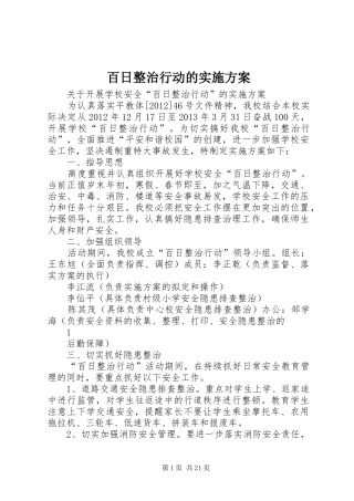 百日整治行动的实施方案