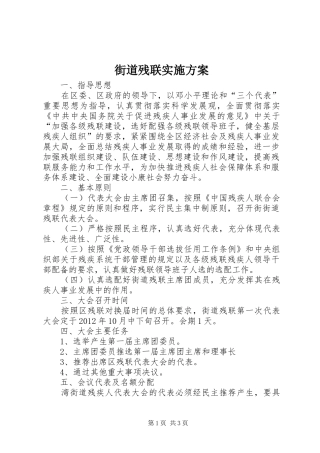 街道残联实施方案