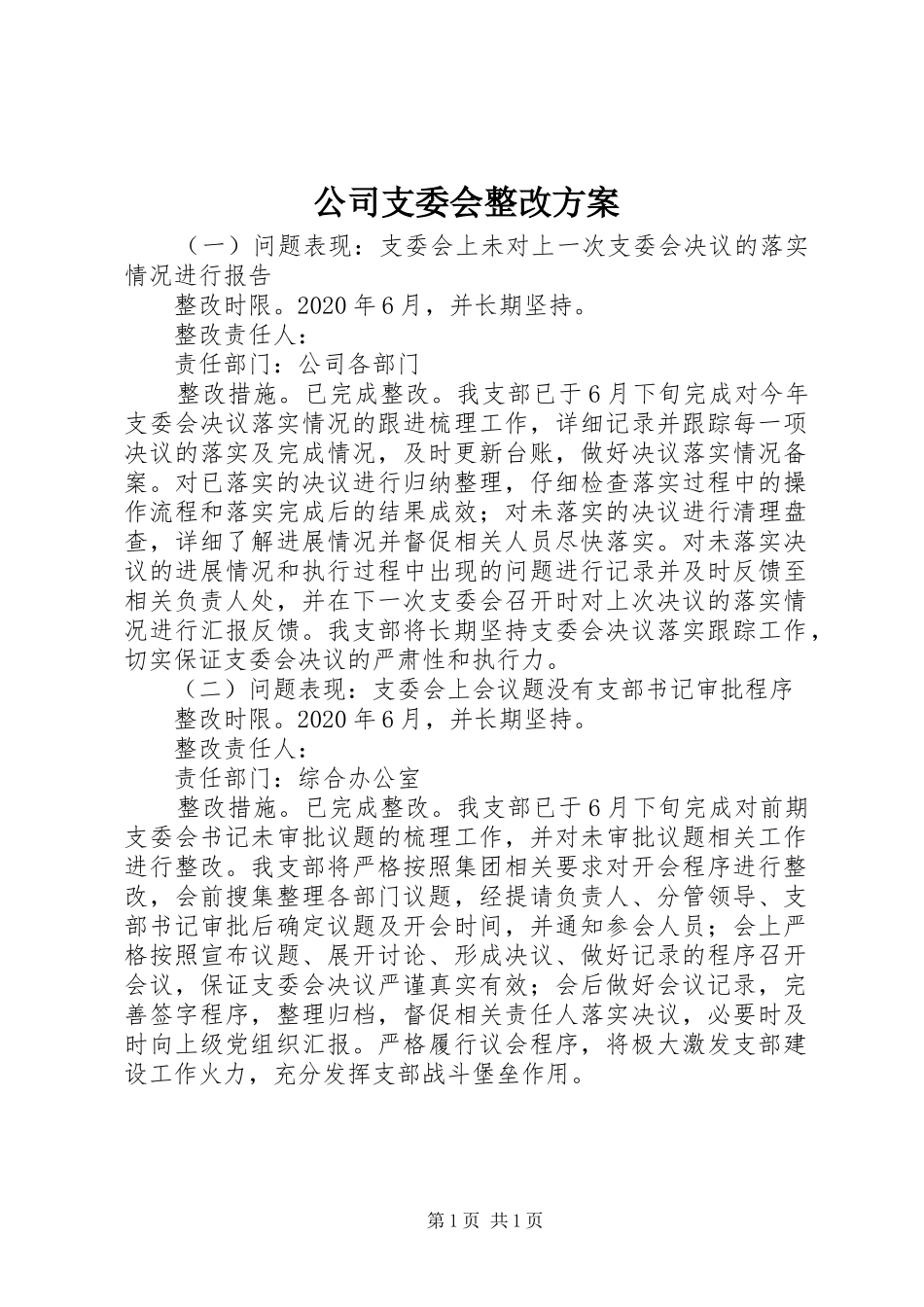 公司支委会整改方案_第1页