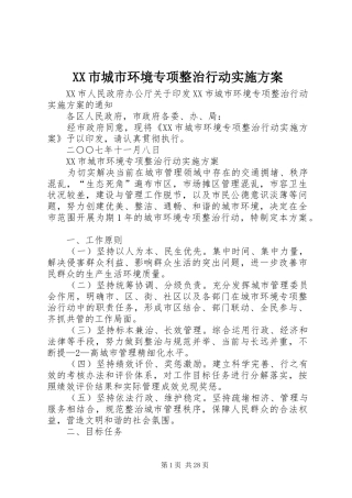 XX市城市环境专项整治行动实施方案