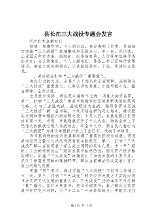 县长在三大战役专题会发言稿
