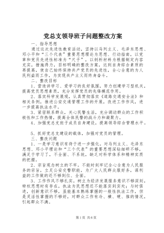 党总支领导班子问题整改方案 (11)