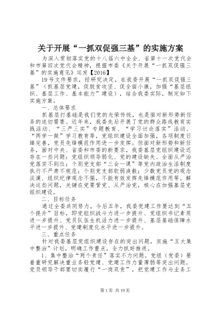 关于开展“一抓双促强三基”的实施方案