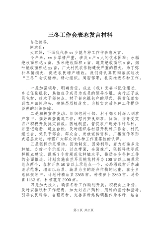 三冬工作会表态发言材料提纲