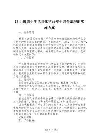 13小果园小学危险化学品安全综合治理的实施方案