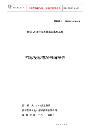 工程评标报告