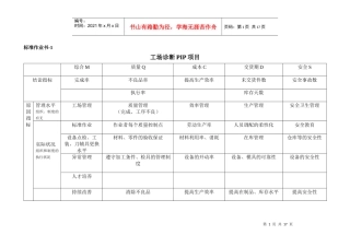 工场诊断PIP项目