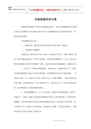 市场地推活动方案(DOC12页)