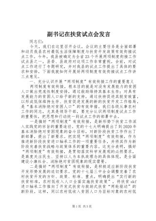 副书记在扶贫试点会发言稿