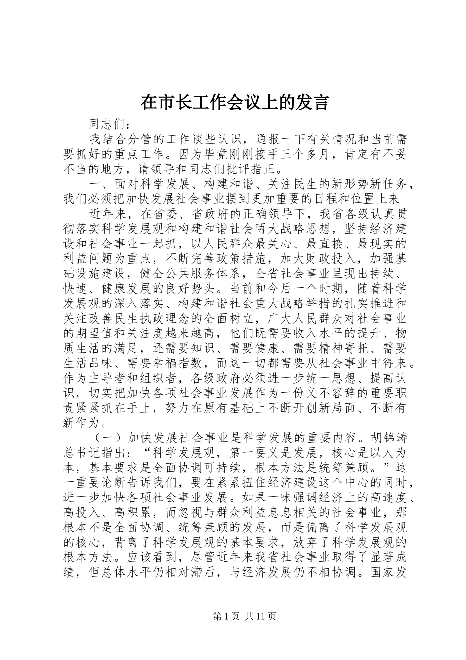 在市长工作会议上的发言稿_第1页