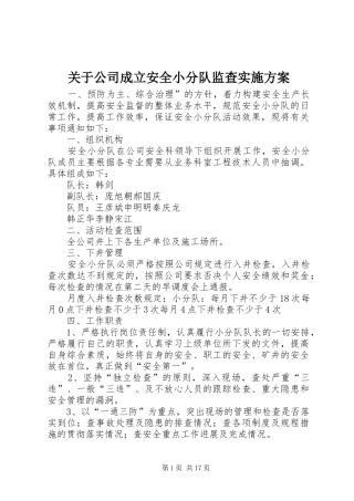 关于公司成立安全小分队监查实施方案