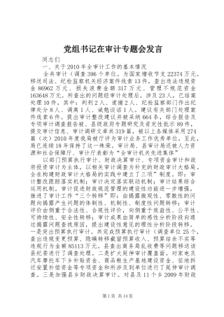 党组书记在审计专题会发言稿