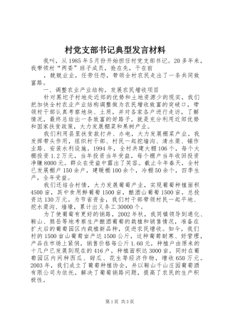 村党支部书记典型发言材料致辞