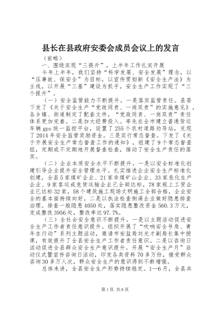 县长在县政府安委会成员会议上的发言稿