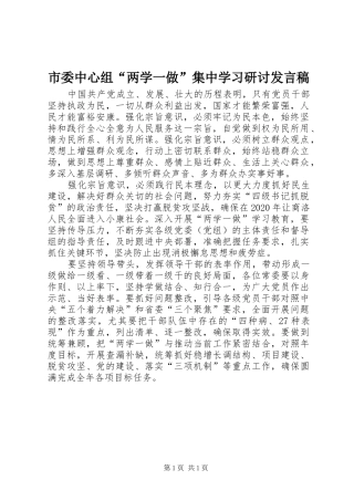 市委中心组“两学一做”集中学习研讨发言稿范文