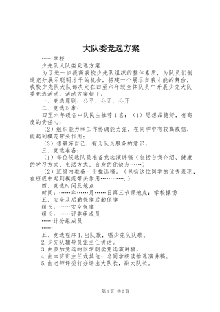 大队委竞选方案