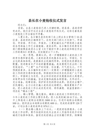 县长在小麦抢收仪式发言稿