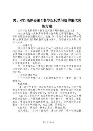 关于对扫黑除恶第X督导组反馈问题的整改实施方案