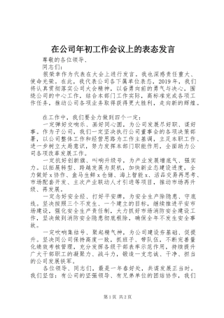在公司年初工作会议上的表态发言稿