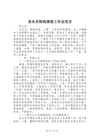县长在财政清查工作会发言稿