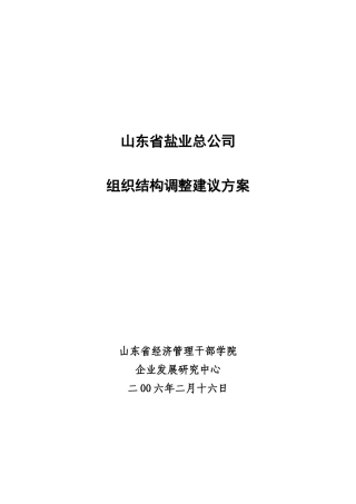 山东省盐业总公司组织结构调整建议方案v060216