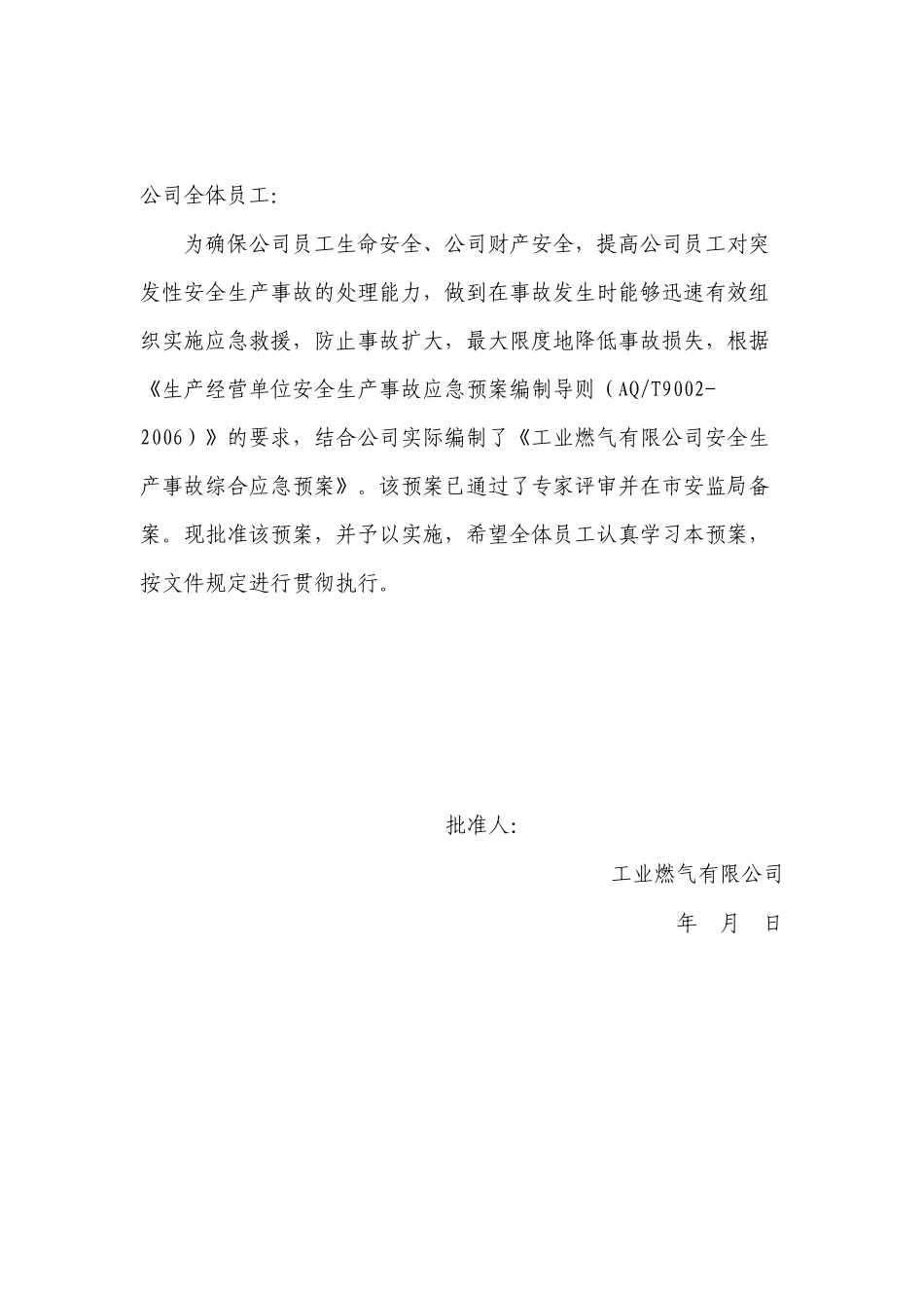 工业燃气公司安全生产事故综合应急预案_第2页