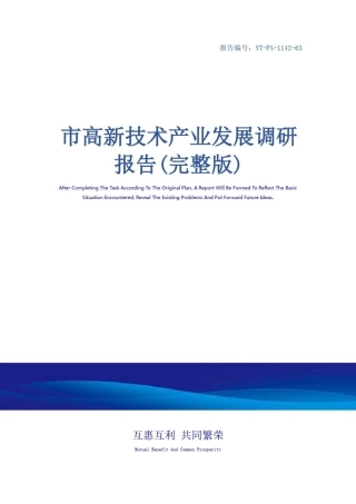 市高新技术产业发展调研报告(完整版)