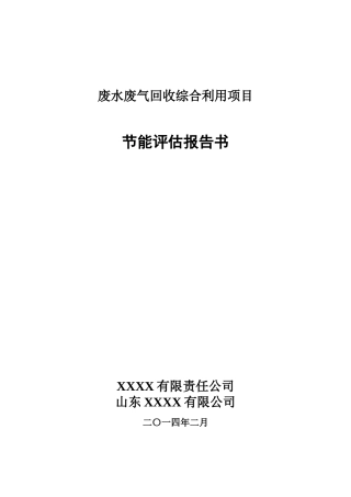 废水废气项目能评书XXXX