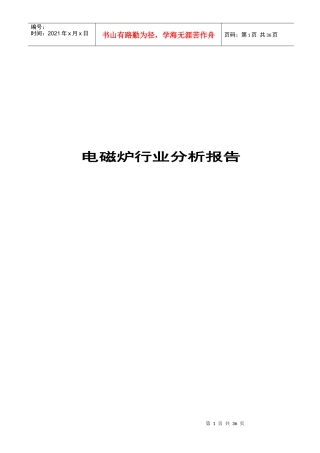 年度中国电磁炉行业报告