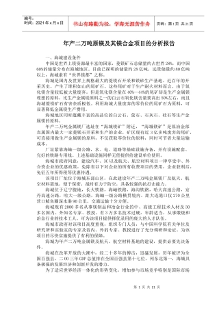 年产二万吨原镁及镁合金项目分析报告