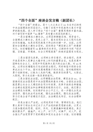 “四个全面”座谈会发言（副团长）