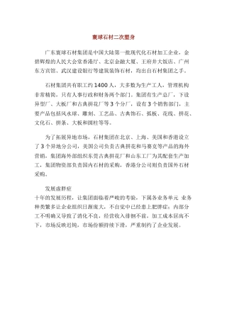 广东寰球石材集团企业诊断报告