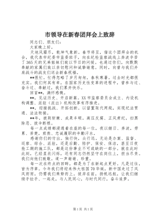 市领导在新春团拜会上演讲致辞