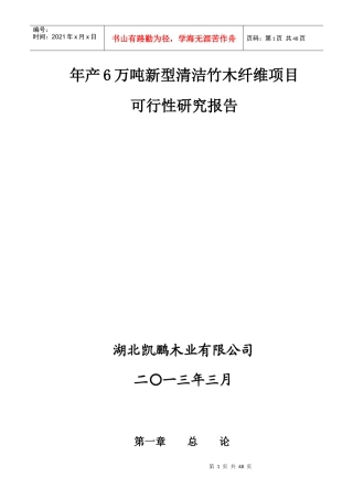 年产6万吨新型清洁竹木纤维项目研究报告