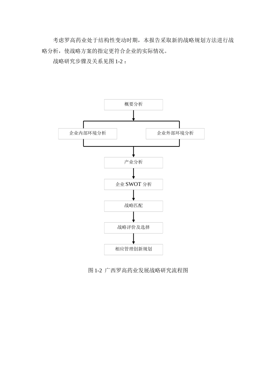 广西某药业公司发展战略研究报告(doc 47页)_第3页