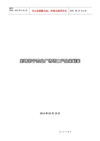 廊坊苏宁广场产品策划案