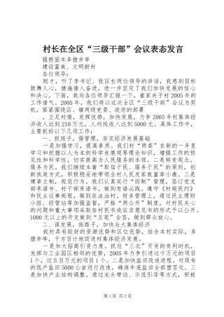 村长在全区“三级干部”会议表态发言稿(9)