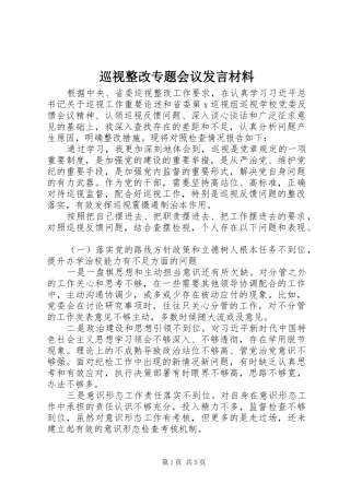 巡视整改专题会议发言材料提纲