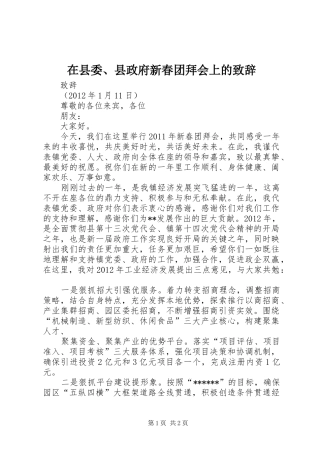 在县委、县政府新春团拜会上的致辞演讲(5)