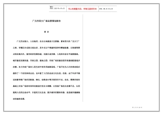 广元市四大广场运营策划报告