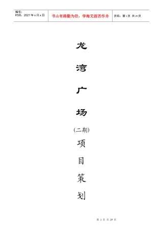 广州龙湾广场项目策划建议