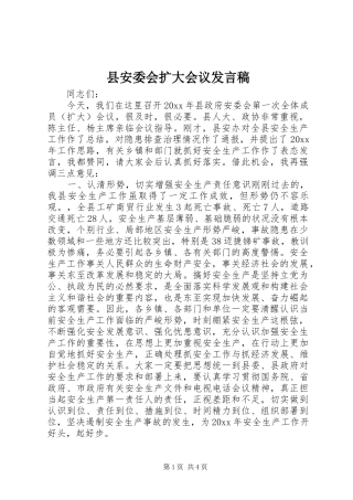 县安委会扩大会议发言