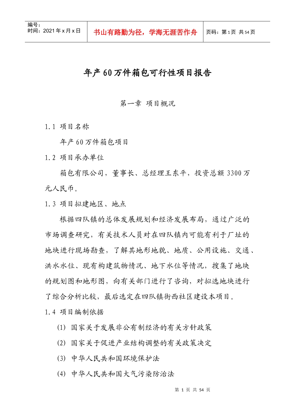 年产60万件箱包可行性项目报告_第1页
