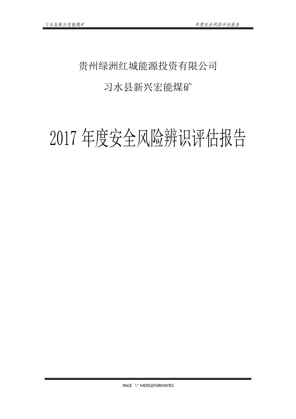 年度风险辨识评估报告(盛廷余编制)_第1页