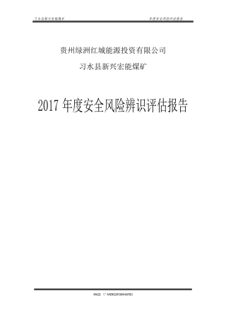 年度风险辨识评估报告(盛廷余编制)