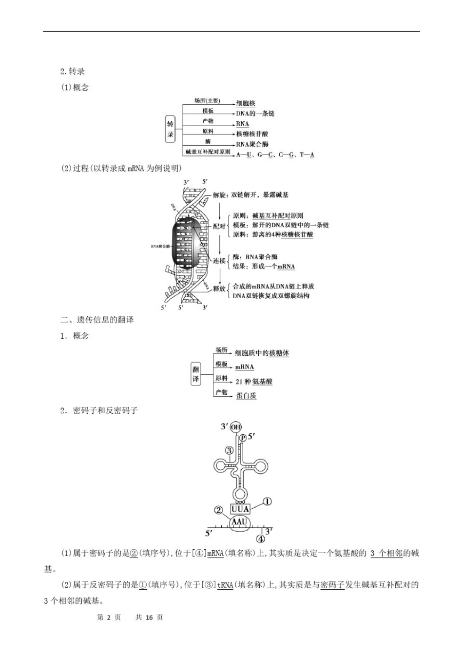 人教版高中生物必修2同步学习-第4章第1节基因指导蛋白质的合成_第2页