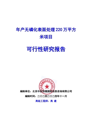 年产无磷化表面处理220万平方米项目可行性研究报告编写
