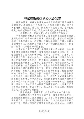 书记在新提拔谈心大会发言稿