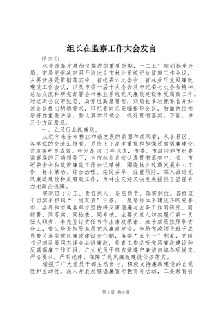 组长在监察工作大会发言稿